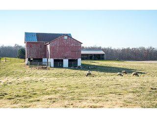 Property photo 76 - OHIO LAND AUCTION - 154+/- ACRES IN RICHLAND COUNTY